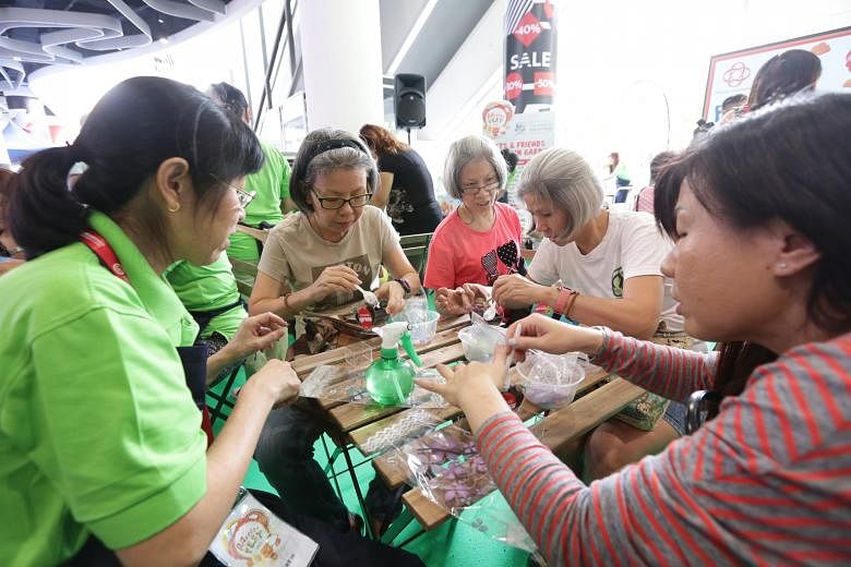 Members of a People's Association gardening interest group sharing tips with participants yesterday at a PA roadshow at Bugis+ mall.