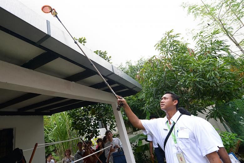 An NEA officer checking the roof of a house for mosquito-breeding sites. Vector control remains a key strategy in the fight against dengue.