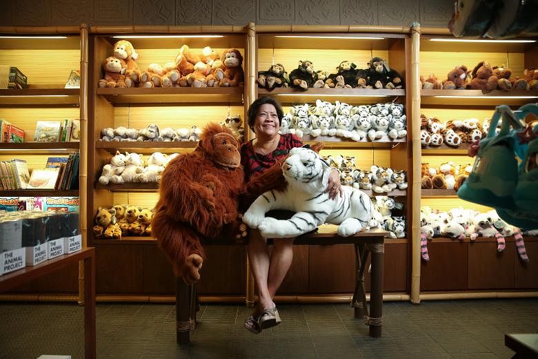 Madam Susie Ng at the gift shop, where she started her career with the zoo. Her duties then included stamping admission tickets. She is now an assistant human resource manager at WRS. Bumper-to-bumper traffic along Mandai Lake Road on July 1, 1973, t