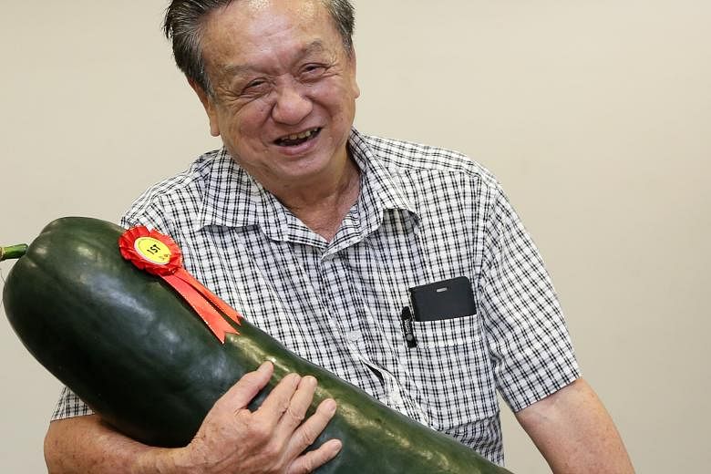 Retiree Joseph Huan (right) with the 17.6kg wintermelon.