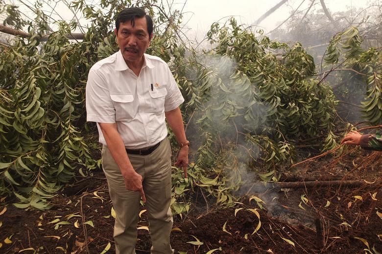 Coordinating Minister for Political, Legal and Security Affairs Luhut Pandjaitan at peatland that was still producing smoke from the fire underneath.