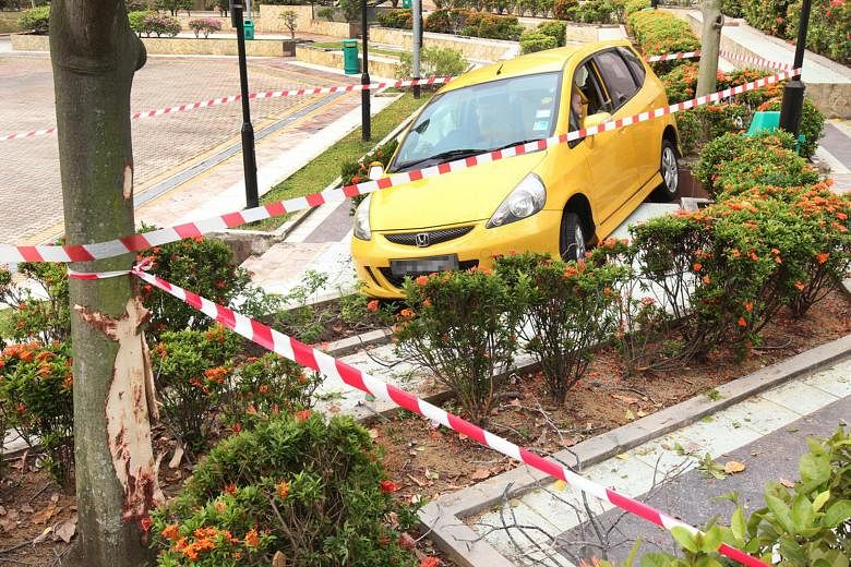 A car hurtled down a slope, grazed a tree and crashed into a bench at a park near Tampines Street 21 on Saturday. Chinese daily Lianhe Wanbao said a man in his 70s, who was driving home with his wife, lost control of the car after mistakenly stepping