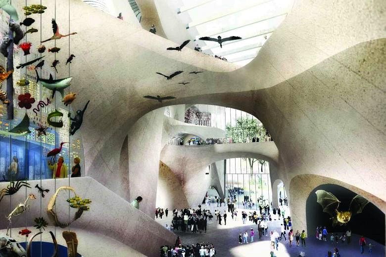 An architectural rendering (above) of the new Richard Gilder Center for Science, Education and Innovation at the American Museum of Natural History.
