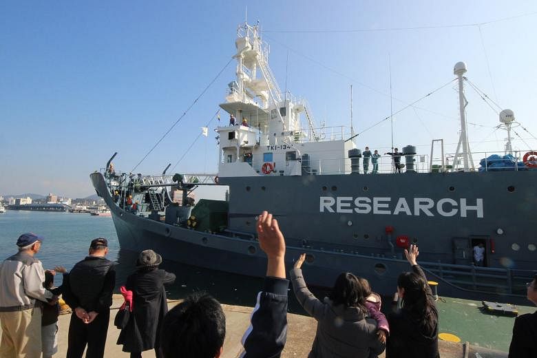 A Japanese whaling ship leaving the port of Shimonoseki in Yamaguchi prefecture, western Japan, for the Antarctic. Japan maintains that research surveys are needed for information on how whales live.
