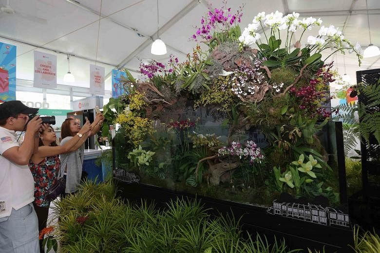 The terrariums are 2m long and 0.6m high (above), and one of them is decorated with more than 15 species of rare orchids (right).