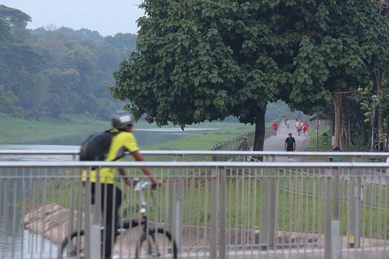 A speed limit in parks and park connectors for cyclists is part of several measures being considered by an advisory panel.