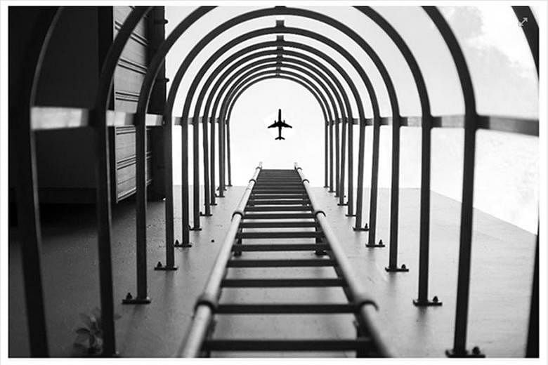 Mr Chay Yu Wei's winning photo appeared to be perfectly timed to capture a plane seen through a ladder. Mr Chay later said he submitted the photo "as a joke".