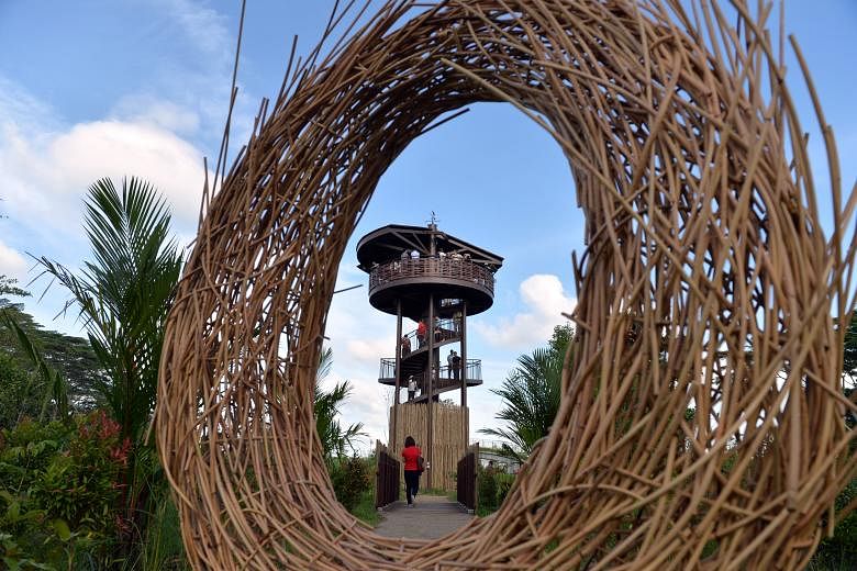 Visitors to the new Kranji Marshes can climb the 10m-tall Raptor Tower for a bird's-eye view of the area. The 56.8ha marshland is home to 54 species of butterflies, 33 species of dragonflies and more than 170 species of birds - including the critical