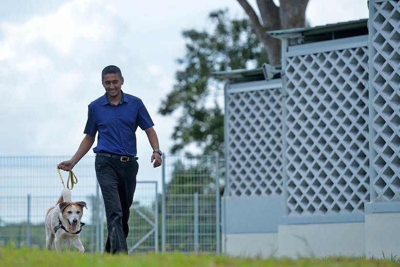 As a child, Dr Gill would take home all kinds of stray animals, to his parents' annoyance. Now, as the SPCA's new acting executive director, he is focused on helping Singapore become a trendsetter in animal welfare.