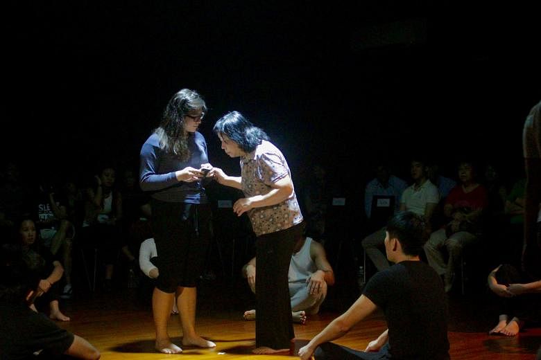 SMU and ITE students put up a production titled Mama, Big Bird And The Cat last November.