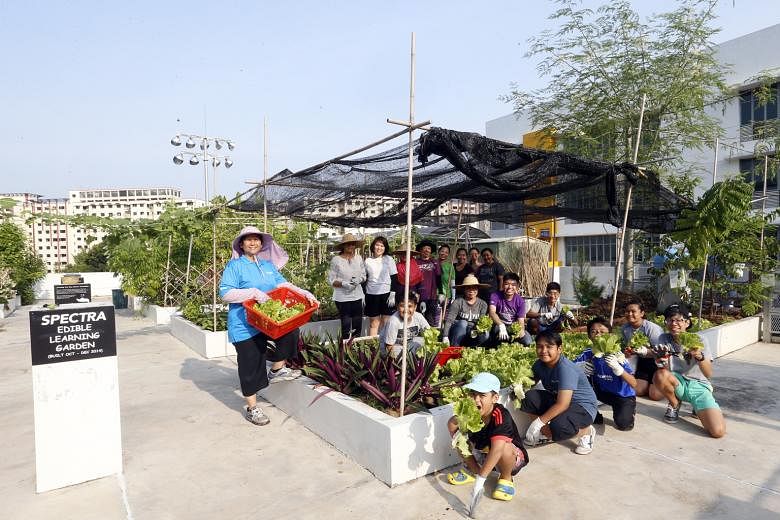 Parents and student volunteers tend the garden on weekends and are supervised by school staff developer Lyvenne Chong (far left). Mrs Chong conceptualised the gardening programme and found that gardening could give students who are less academically 