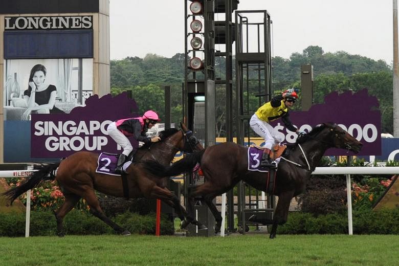 Jockey Vlad Duric steered Zac Spirit (3) to victory in yesterday's Lion City Cup at the Singapore Turf Club. The six-year-old Australian-bred gelding clocked 1min 8.45sec to finish a length clear of Emperor Max (Danny Beasley) while Super Winner (Eli