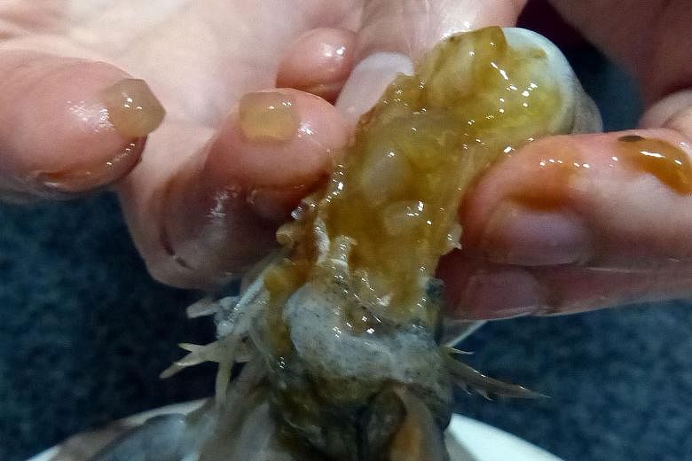 The gelatinous blobs found in the heads of prawns bought from a Sengkang market last week are part of their heart structure, says AVA. They are normal and prominent in fresh prawns.