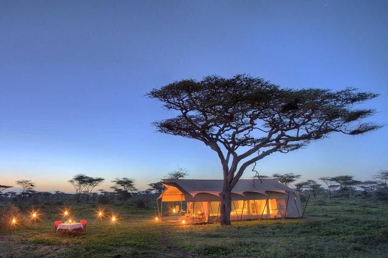 A luxury campsite in the Serengeti with &Beyond.