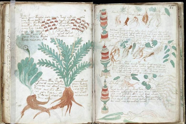 The Voynich Manuscript contains elegant writing and drawings of strange plants.