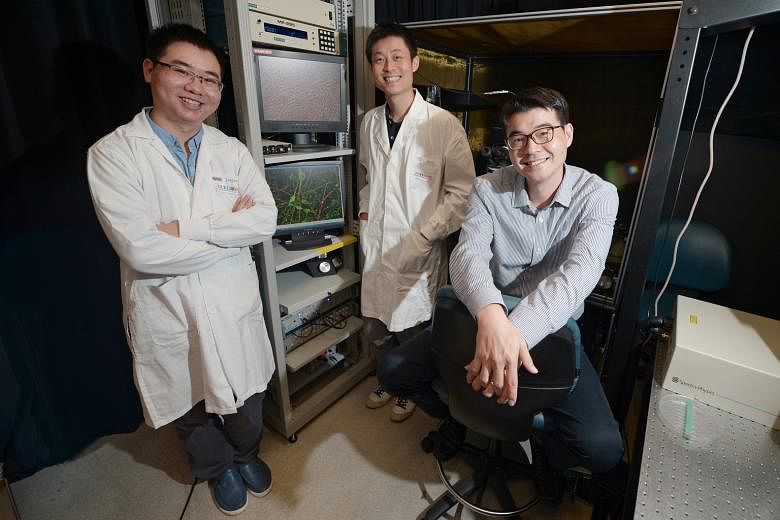 The scientists who came up with a faster way to produce functional neurons are (from left) Mr Yuan Qiang, NUS Graduate School PhD student, Dr Alfred Sun, research fellow at the National Neuroscience Institute and A*Star's Genome Institute of Singapor