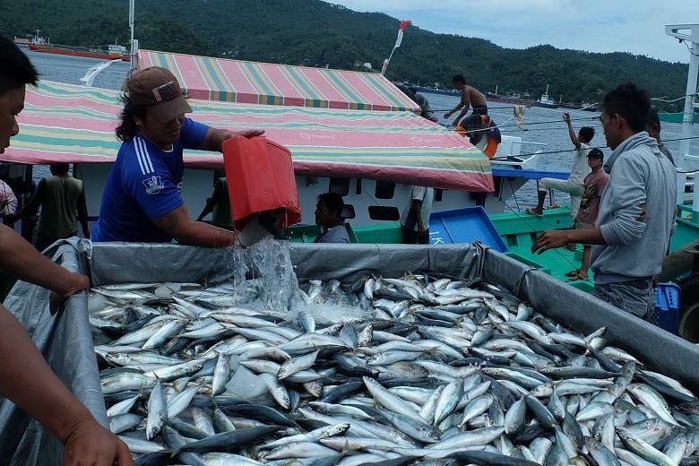 Small-time fishermen in Bitung, whose small boats could not compete with the larger foreign vessels, including those used by poachers, have seen their catch increase and even double.