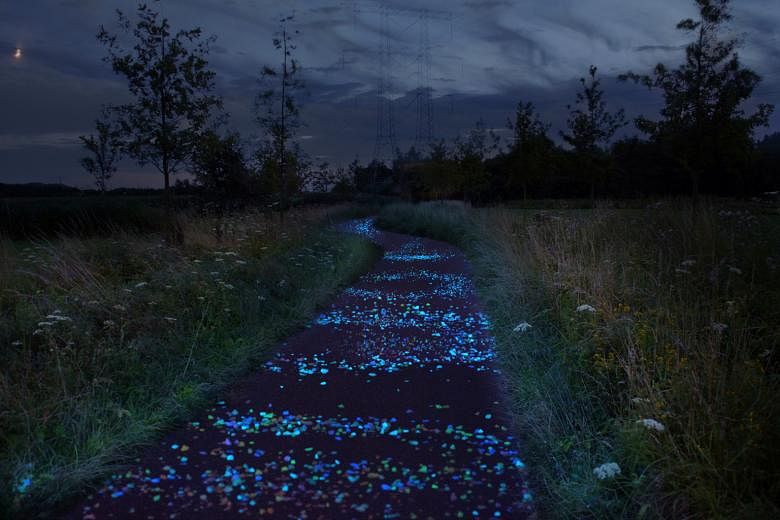 Left: A bicycle path near the town of Lidzbark Warminski, north-east Poland, glowing blue in the dark thanks to luminophores that charge in the sun. It can glow for up to 10 hours. Right: Tiny luminous fragments embedded in a glow-in-the-dark bike pa