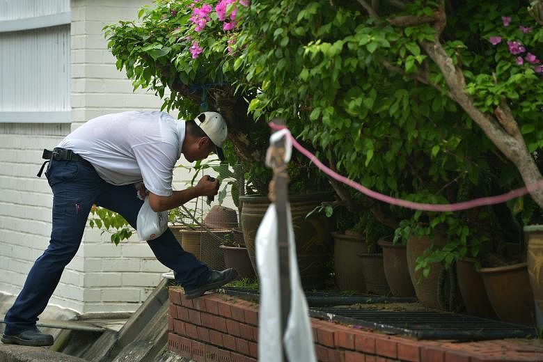 A National Environment Agency officer checking for possible mosquito-breeding sites at the Elite Terrace estate in Siglap on Sept 8. Sales of anti-mozzie products have slowed but are still higher than before the outbreak here.