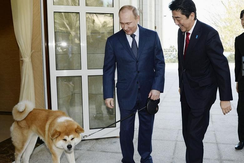Mr Putin and Yume welcoming Mr Abe in Sochi, Russia, in 2014. Japan's plan to present Mr Putin with a "bridegroom" for Yuma has reportedly been rejected.