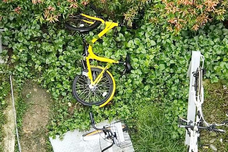 An ofo bike that was left on a grass verge. The absence of features such as GPS tracking and QR code-enabled smart locks have led to ofo bicycles, in particular, being prone to abuse.