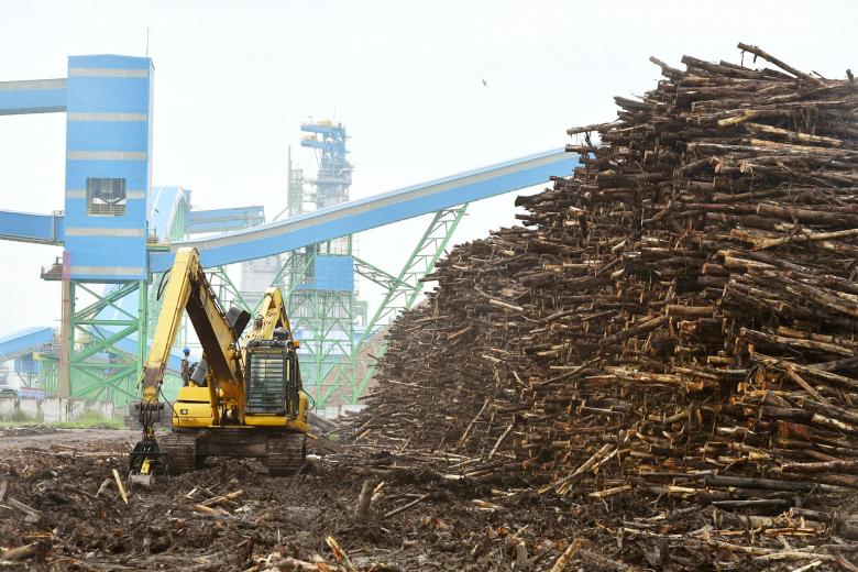 Asia Pulp and Paper's mill in South Sumatra's Ogan Komering Ilir district has the option to produce far more than the firm had given the impression it can - a government licence showed the mill had approval to produce up to 3.25 million tonnes of pulp a y
