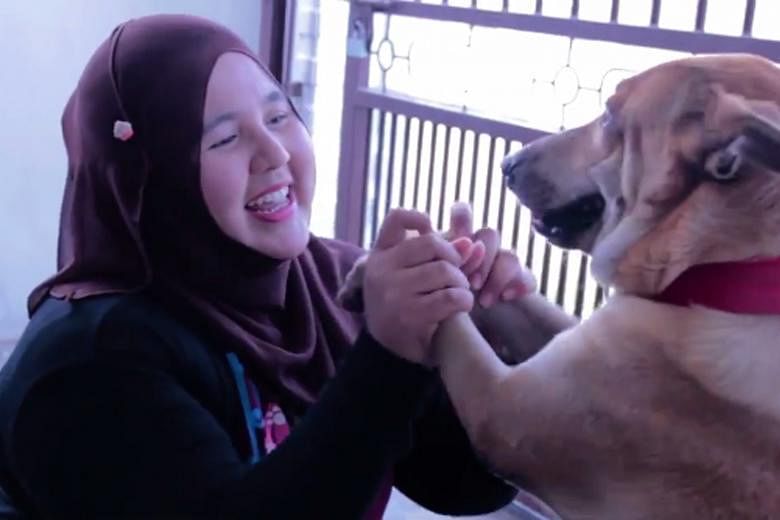 Ms Nurhanizah Abdul Rahman with Bubu in a video entered in a competition. Jakim said intentionally touching dogs was "highly disturbing" and went against Islamic teachings.