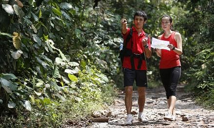 Members of the Singapore Orienteering Meetup Club check maps before setting out on a route. Strength and movement teacher Jay Ding and his girlfriend Jasmine Lee (both above), an assistant director at MediaCorp, navigating their way in MacRitchie dur