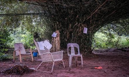 The makeshift community garden near Block 76, Commonwealth Drive. A group of five artists started a Facebook community page and made plans to clean up the site and propose it as an attraction and rest stop along the rail corridor, which runs close to