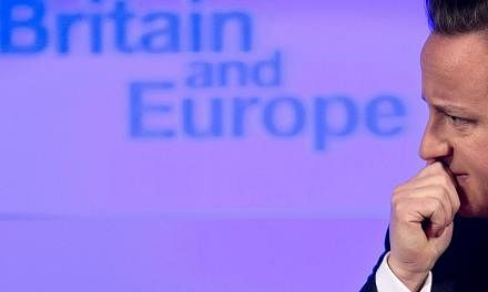 British Prime Minister David Cameron delivers a speech on "the future of the European Union and Britain's role within it", in central London, on&nbsp;Jan 23, 2013. -- PHOTO: AFP