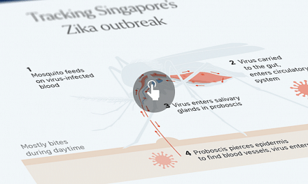 The first case of locally transmitted Zika infection in Singapore was reported on Aug 27. Since then, more cases have been reported.