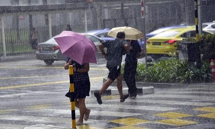 Five-day cool spell was Singapore's longest in a decade