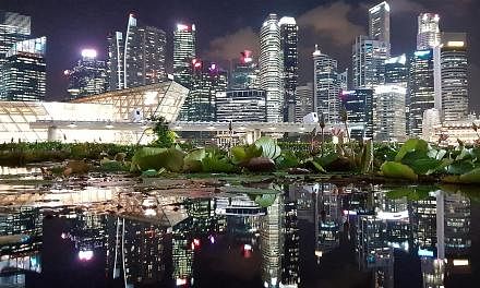Singapore's glittering skyline offers photo opportunities to sightseers.