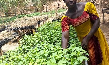 The farming initiative is benefiting women, helping them climb out of poverty, according to team leader Aminata Sinare.