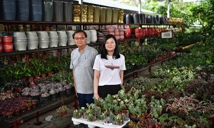 2nd and 3rd generation owners of Ban Nee Chen, Mr Ng Jim Ming, 62 and his daughter Ms Kelly Ng, 29 at their nursery on 21 December 2021./Nurseries are being asked to move out of Bah Soon Pah Road as their lease expires on Dec 31 2021. The nurseries ask
