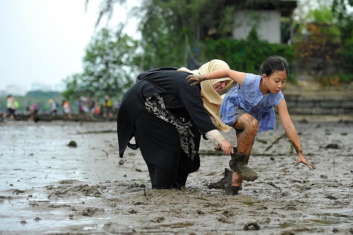 Ms Soh Lay Bee, a bank officer in her 30s, and marketing communication executive Loh Ming Yen, 30, changing out of their diving booties after a volunteer session. Their special footwear protects them from being sucked into the mud. (From left) Profes