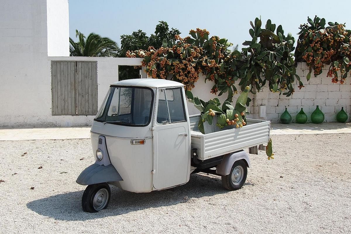 The Piaggio Ape, a lightweight, three-wheel truck that is to the Italian countryside what the Vespa is to its cities. Fresh fruit and herbs for sale at a corner store in Gallipoli. In the summer, the winding streets of Alberobello are filled with tou