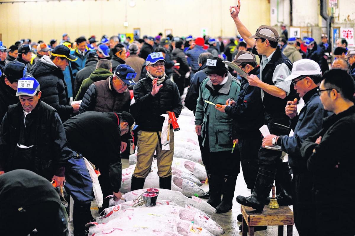Above: High levels of toxic chemicals found in groundwater tests at the spanking-new Toyosu facility have frozen for now Tsukiji's move there. Right: Besides merchants and wholesalers, the fish auction at Tsukiji also draws crowds of tourists. Tsukij
