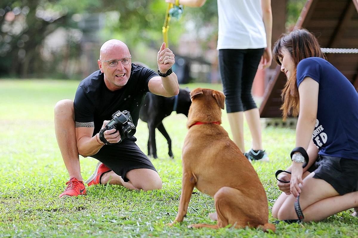 (Above) Singaporean Kyle Lek Kai Ming has pledged to run 10km every day for a year and donates a dollar to World Wide Fund For Nature Singapore for every kilometre clocked. (Left) New Zealander Glenn Elvy takes photos for free for Causes For Animals 