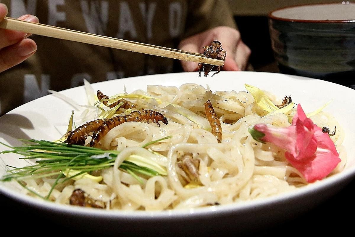 Curious Japanese foodies queued up outside a Tokyo restaurant on Sunday for a taste of this rare dish - ramen garnished with deep-fried worms and crickets. Within about four hours, the Ramen Nagi restaurant sold out the 100 bowls of "insect tsukemen"