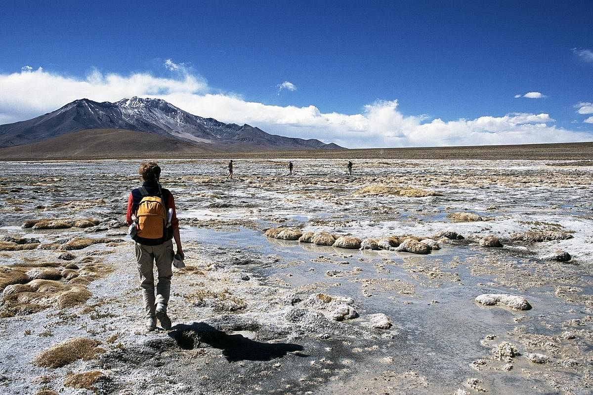 Walking through a salt lake in the Atacama Desert in Chile.