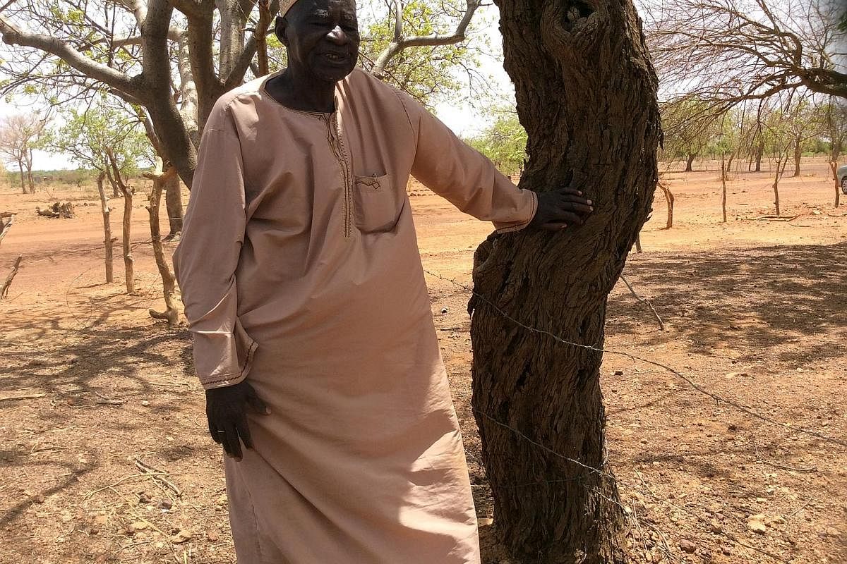 Mr Yacouba Sawadogo's re-vegetation of the desert involves digging holes in the ground and filling them with organic waste. This draws termites which then dig tunnels that enable the collection of rainwater in the rainy season. All that is left is to