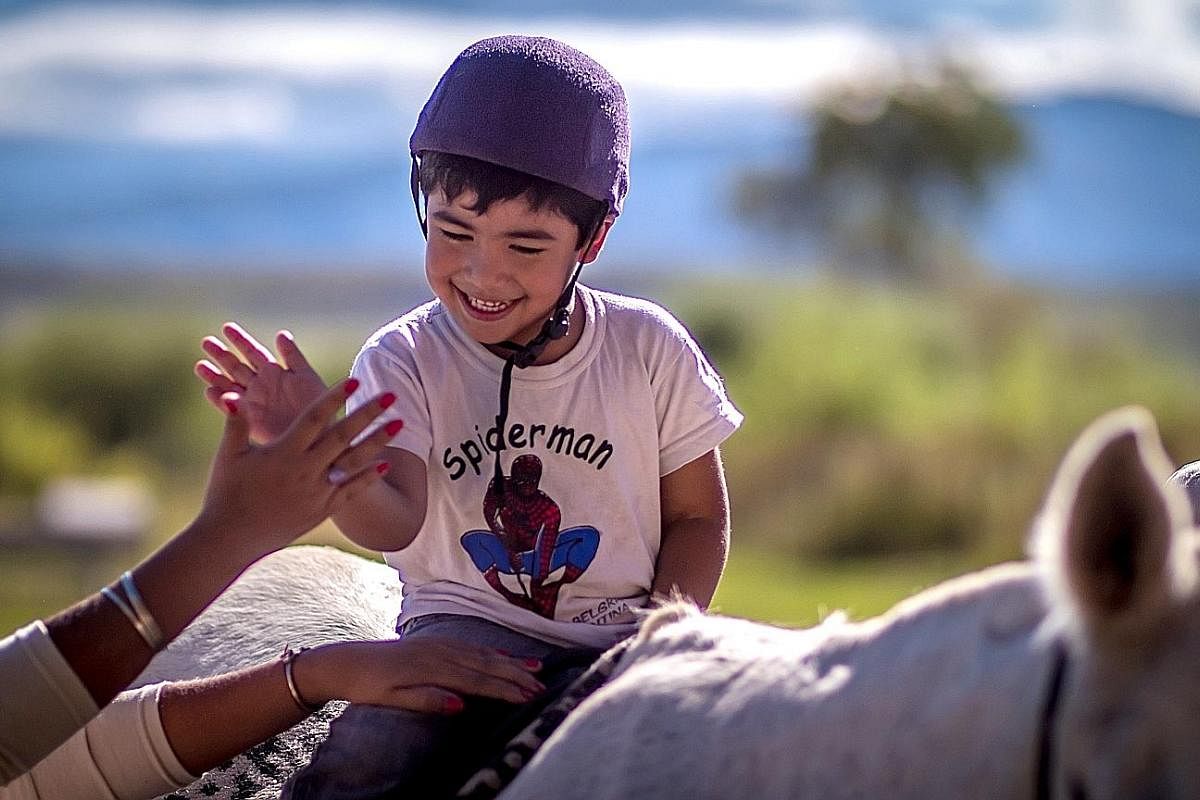More than 250 centres throughout Argentina practise equine therapy, which seeks to aid the rehabilitation of illnesses involving physical or psychological disabilities.