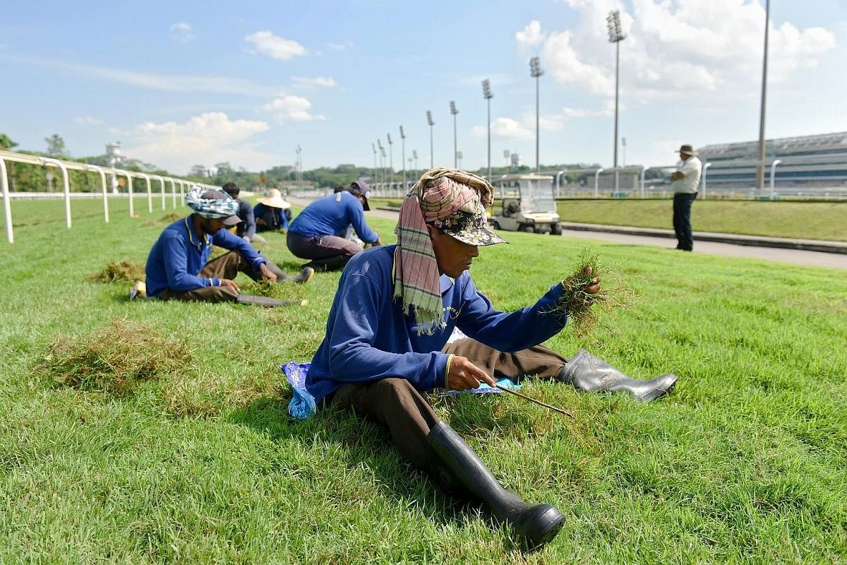 Members of the public looking at the different types of tracks used for horse racing - such as grass turf and synthetic Polytrack - at STC's carnival on June 10. The bus tour also took visitors past the stables. STC says the annual carnival is a good
