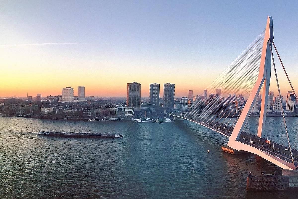 The Erasmus Bridge in Rotterdam, a city of futuristic architecture and an abundance of art and design.