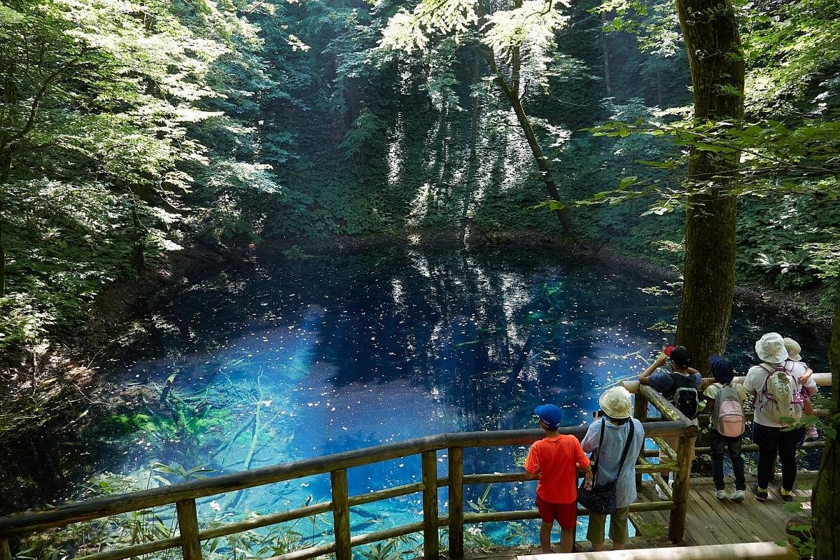 The mountains of Shirakami- Sanchi in the Tohoku region are home to unspoilt virgin forests.
