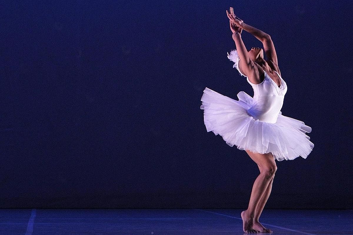 Dada Masilo's Swan Lake fuses traditional ballet with South African dance.