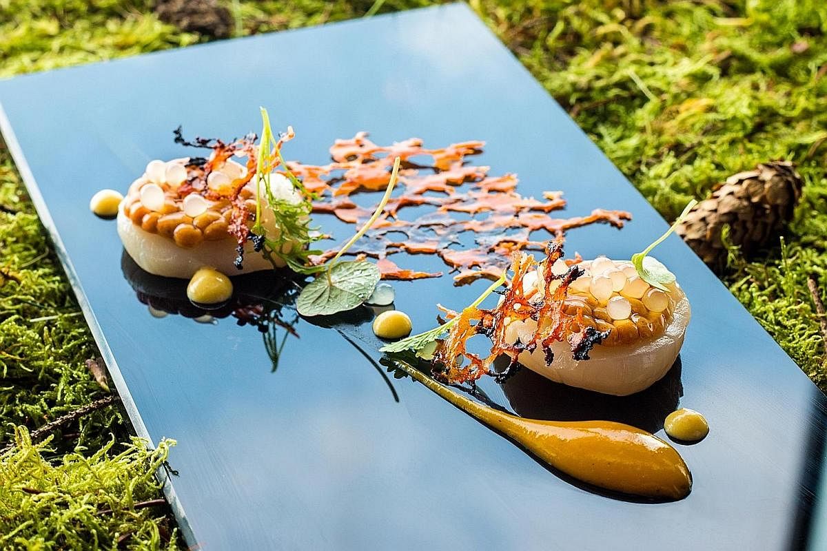 Among the highlights at Stellar at 1-Altitude is hand-dive scallops with burnt chilli spheres, lime pearls and caramelised corn.