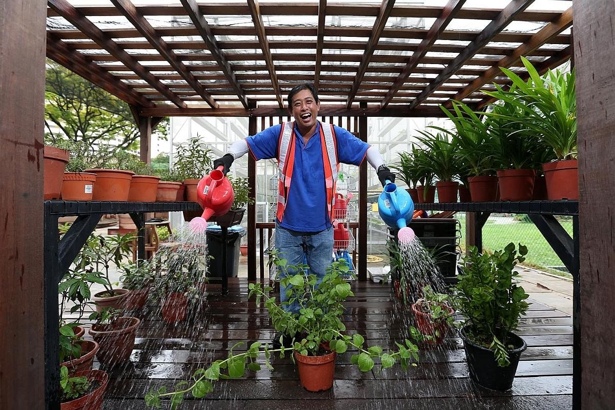 Mr Tan Wai Loon became interested in gardening some 10 years ago. He started out at the APSN Centre for Adults as a general worker but is now an instructor assistant, helping the centre with its horticulture and grass-cutting course.