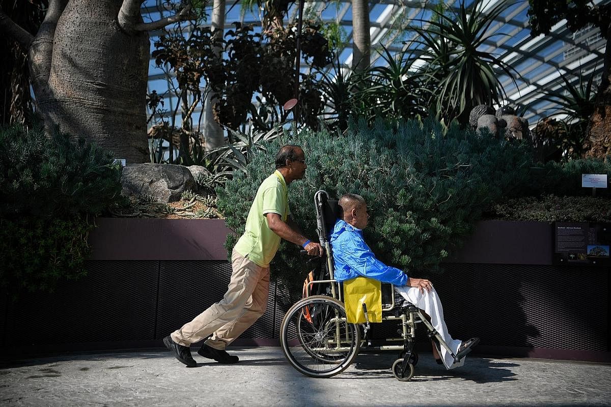 Mr Randall De’Souza, 51, helps 82-year-old patient Tan Kang Liang get around the Flower Dome at Gardens by the Bay during a weekly outing. Dover Park Hospice’s 18 volunteer groups, named after different gemstones, are classified into “patient-facing” and 